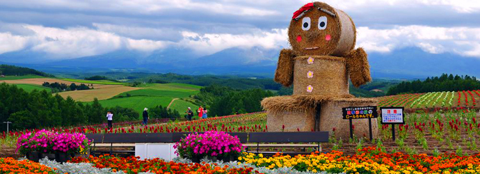 日本自由行,富良野,北海道,四季彩之丘,Panoramic Flower Gardens Shikisai-no-oka