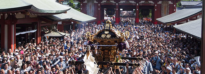 日本-東京-自由-神轎-節慶-淺草-三社祭