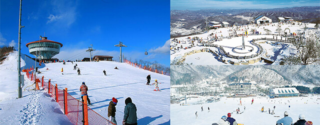 韓國自由行,滑雪場,江原道,京畿道,芝山滑雪場,鳳凰公園滑雪場,韓國自由行滑雪推薦,韓國滑雪推薦