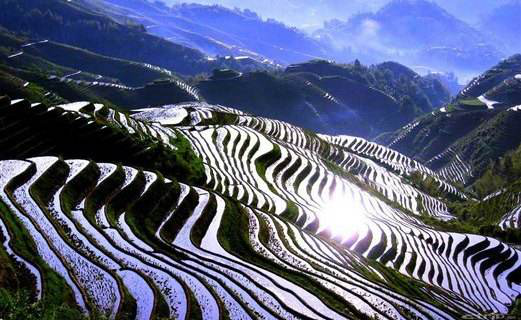 龍脊古壯寨梯田