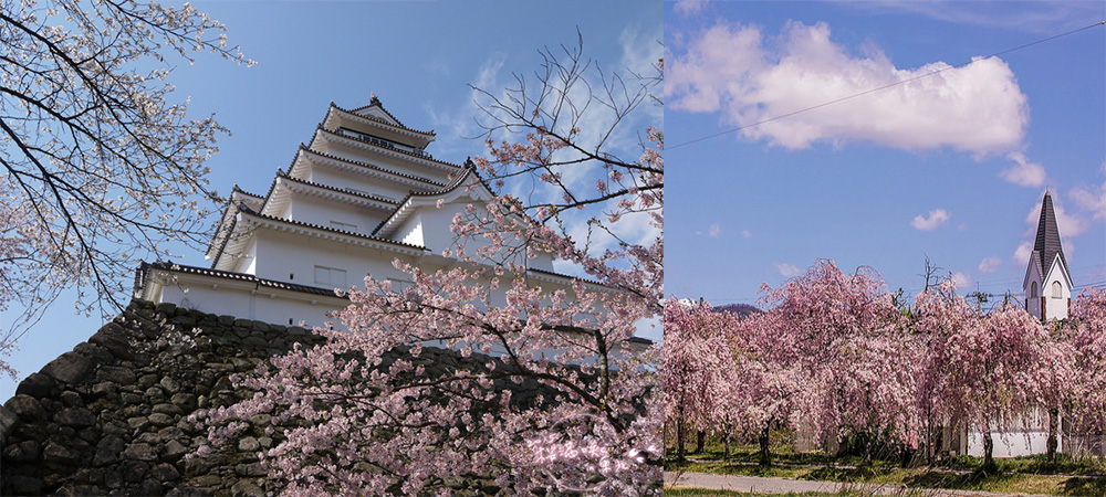 2015 春 日本 東北 希望賞到櫻之旅 福島縣 會津若松 喜多方 Travelliker 愛遊人