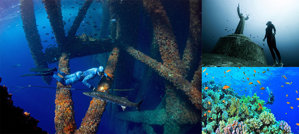 自由潛水,free diving,蘇梅島機票